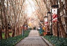 Como Aplicar a una Universidad Americana Como Aplicar a una Universidad Americana