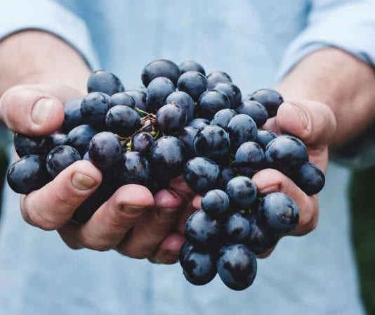 Trabajar como temporero este verano Trabajar como temporero este verano