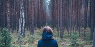 Becas Internacionales de Postgrado en Alemania Becas Internacionales de Postgrado en Alemania