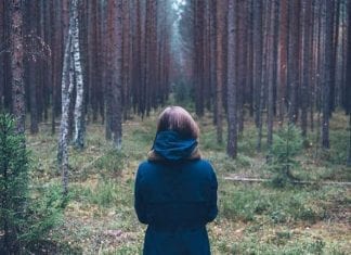 Becas Internacionales de Postgrado en Alemania Becas Internacionales de Postgrado en Alemania