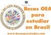 Becas OEA para estudiar posgrado en Brasil Becas OEA para estudiar posgrado en Brasil