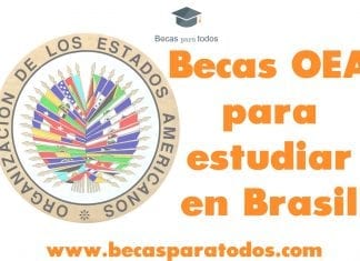 Becas OEA para estudiar posgrado en Brasil Becas OEA para estudiar posgrado en Brasil