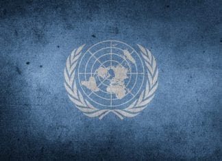 5 vacantes para trabajar en la ONU México, julio 2018. 5 vacantes para trabajar en la ONU México, julio 2018.