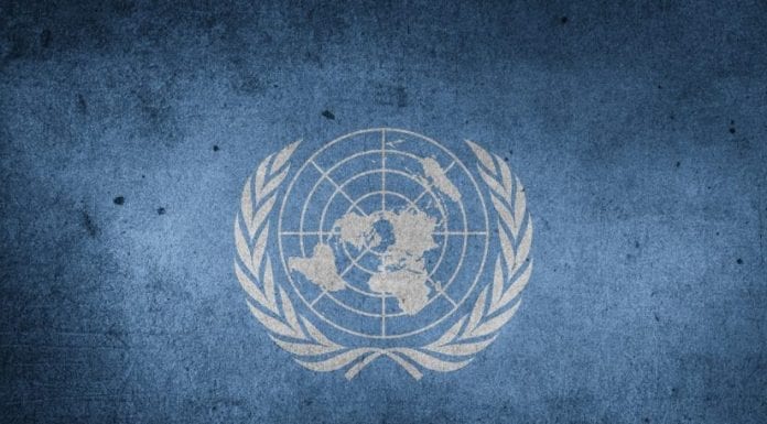 5 vacantes para trabajar en la ONU México, julio 2018. 5 vacantes para trabajar en la ONU México, julio 2018.