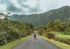3 Opciones factibles para realizar un Voluntariado en Hawaii 3 Opciones factibles para realizar un Voluntariado en Hawaii