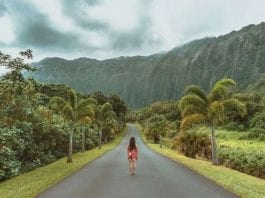 3 Opciones factibles para realizar un Voluntariado en Hawaii 3 Opciones factibles para realizar un Voluntariado en Hawaii