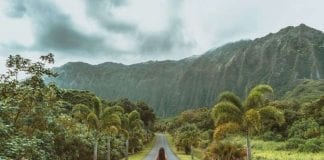 3 Opciones factibles para realizar un Voluntariado en Hawaii 3 Opciones factibles para realizar un Voluntariado en Hawaii