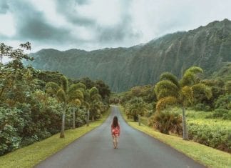 3 Opciones factibles para realizar un Voluntariado en Hawaii 3 Opciones factibles para realizar un Voluntariado en Hawaii