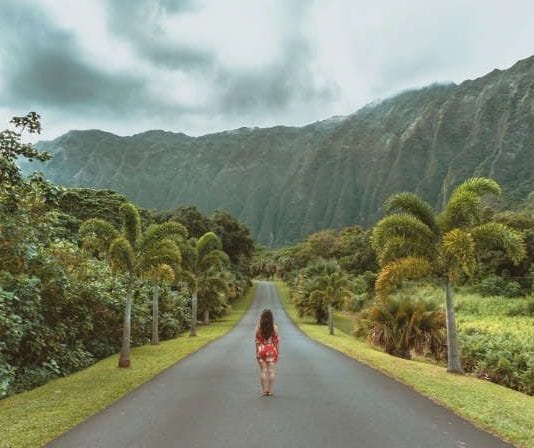 3 Opciones factibles para realizar un Voluntariado en Hawaii 3 Opciones factibles para realizar un Voluntariado en Hawaii