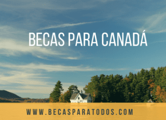 600 becas Amancio Ortega para españoles, estudia EEUU o Canadá 600 becas Amancio Ortega para españoles, estudia EEUU o Canadá
