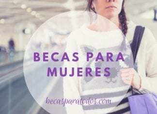 Females in Animation, becas para mujeres que estudien animación Females in Animation, becas para mujeres que estudien animación