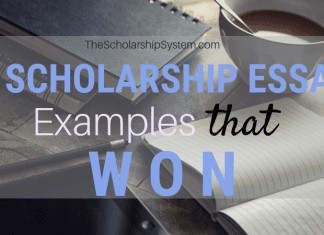 3 Scholarship Essay Examples That Won 3 Scholarship Essay Examples That Won
