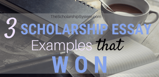 3 Scholarship Essay Examples That Won 3 Scholarship Essay Examples That Won