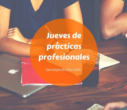 Becas MEC para prácticas profesionales, personalities trick discapacidad intelectual Becas MEC para prácticas profesionales, personalities trick discapacidad intelectual