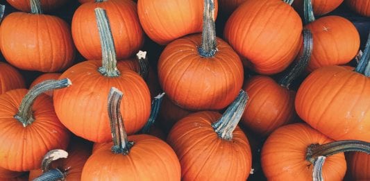 Cómo se celebra Halloween en U.S.A. Cómo se celebra Halloween en U.S.A.