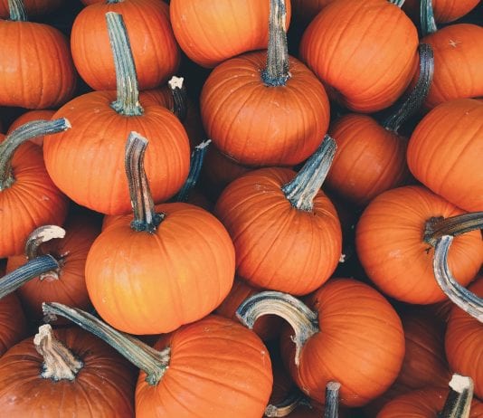 Cómo se celebra Halloween en U.S.A. Cómo se celebra Halloween en U.S.A.