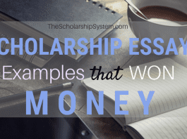 Scholarship Essay Examples That Won Loan Scholarship Essay Examples That Won Loan
