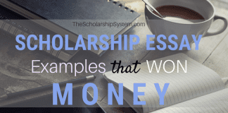 Scholarship Essay Examples That Won Loan Scholarship Essay Examples That Won Loan