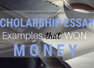 Scholarship Essay Examples That Won Loan Scholarship Essay Examples That Won Loan