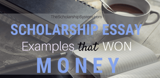 Scholarship Essay Examples That Won Loan Scholarship Essay Examples That Won Loan