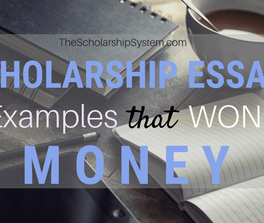 Scholarship Essay Examples That Won Loan Scholarship Essay Examples That Won Loan
