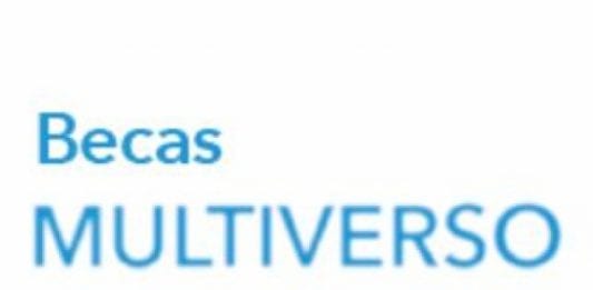 Becas Multiverso para creación de Video Arte, Fundación BBVA Becas Multiverso para creación de Video Arte, Fundación BBVA