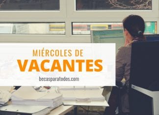 Vacante para mexicanos en el DAAD, coordinador de marketing Vacante para mexicanos en el DAAD, coordinador de marketing