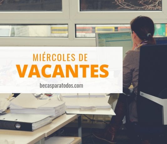 Vacante para mexicanos en el DAAD, coordinador de marketing Vacante para mexicanos en el DAAD, coordinador de marketing