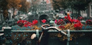 Becas para estudiar en Holanda, más de 1,000 programas. Becas para estudiar en Holanda, más de 1,000 programas.