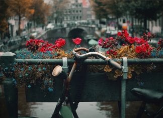 Becas para estudiar en Holanda, más de 1,000 programas. Becas para estudiar en Holanda, más de 1,000 programas.