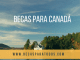 Becas Humber para cursar estudios de licenciatura, en Canadá. Becas Humber para cursar estudios de licenciatura, en Canadá.