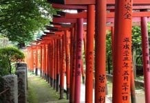 Becas Vulcanus para realizar prácticas profesionales en Japón Becas Vulcanus para realizar prácticas profesionales en Japón