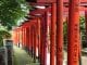 Becas Vulcanus para realizar prácticas profesionales en Japón Becas Vulcanus para realizar prácticas profesionales en Japón