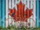 Becas para cultivarse en Canadá Becas para cultivarse en Canadá