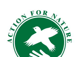 Virtud Eco-Hero para iniciativas ambientales exitosas Virtud Eco-Hero para iniciativas ambientales exitosas