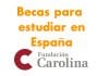 Qué es Fundación Carolina, requisitos, programas, fechas Qué es Fundación Carolina, requisitos, programas, fechas