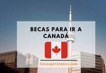 Becas para ir a Canadá a cubrir la conferencia de Ladies Provide Becas para ir a Canadá a cubrir la conferencia de Ladies Provide