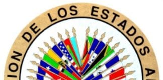 Haz tus prácticas profesionales en la OEA, Derechos Humanos. Haz tus prácticas profesionales en la OEA, Derechos Humanos.