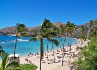 Becas para estudiar en Hawai Becas para estudiar en Hawai