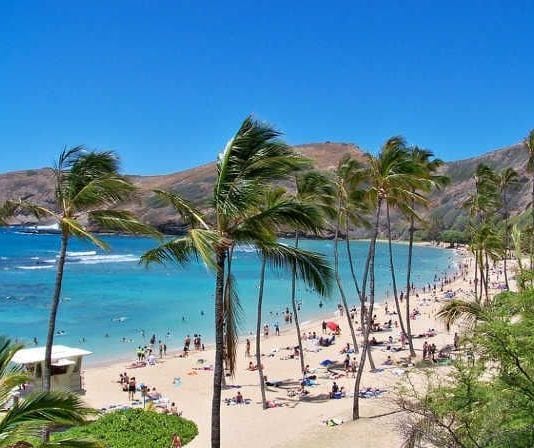 Becas para estudiar en Hawai Becas para estudiar en Hawai