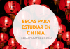 Becas OEA para estudios de grado y posgrado en China Becas OEA para estudios de grado y posgrado en China