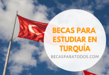Becas universitarias del Gobierno de Turquía, idioma, grado y posgrado Becas universitarias del Gobierno de Turquía, idioma, grado y posgrado