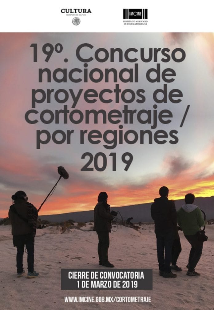 Concurso nacional de cortometrajes por regiones, IMCINE