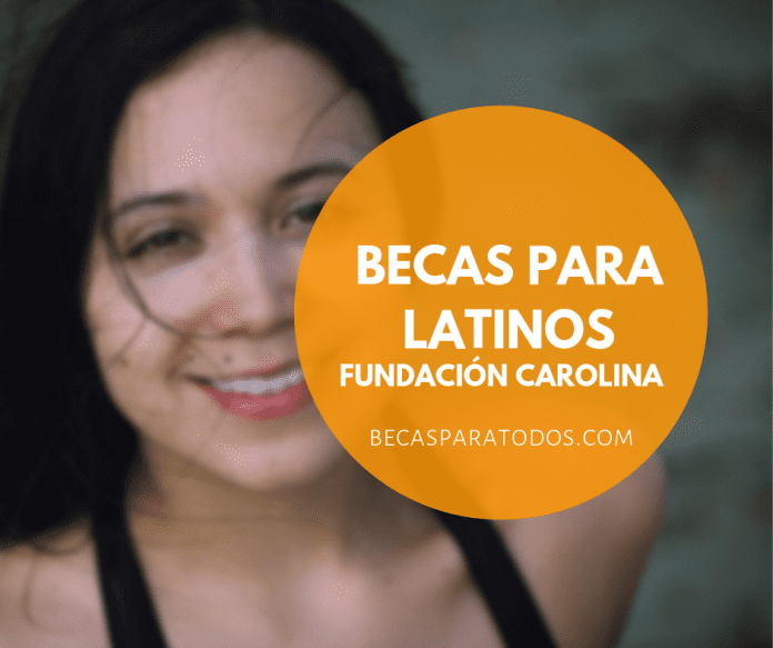 Becas para maestría en lexicografía, Fundación Carolina
