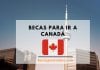 Becas para estudiantes chilenos, estancias cortas en Canadá Becas para estudiantes chilenos, estancias cortas en Canadá