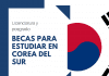 Becas para estudiar en Corea del Sur, licenciatura y posgrado, varias áreas Becas para estudiar en Corea del Sur, licenciatura y posgrado, varias áreas