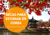 Becas Globales de Corea, posgrado e investigación para argentinos Becas Globales de Corea, posgrado e investigación para argentinos