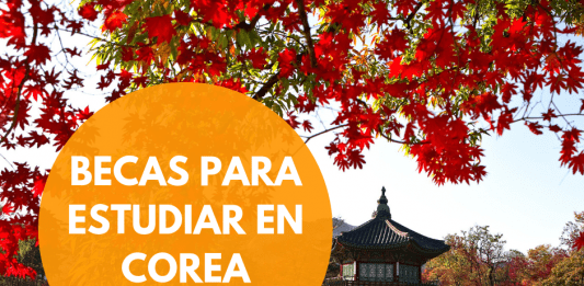 Becas Globales de Corea, posgrado e investigación para argentinos Becas Globales de Corea, posgrado e investigación para argentinos