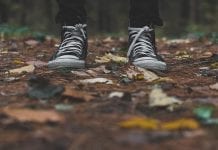 Becas para residencia de arte Stroll & & Talk, en Suiza Becas para residencia de arte Stroll & & Talk, en Suiza