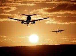 Becas para cursos en Egipto, para agrónomos argentinos, EICA Becas para cursos en Egipto, para agrónomos argentinos, EICA